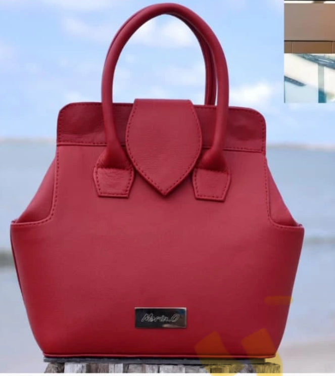 The Lisa Bag